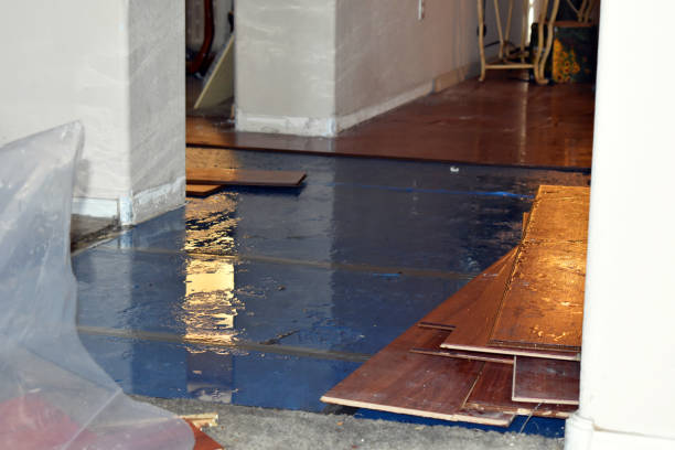 Professional Sewage Cleanup technician working in Girard, KS